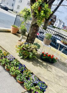 Uteområde ved Stokkaveien Blomster med blomsterpotter og sommerblomster i Stavanger.