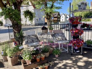Uteplass med planter, blomsterkrukker og sitteplasser utenfor Stokkaveien Blomster.